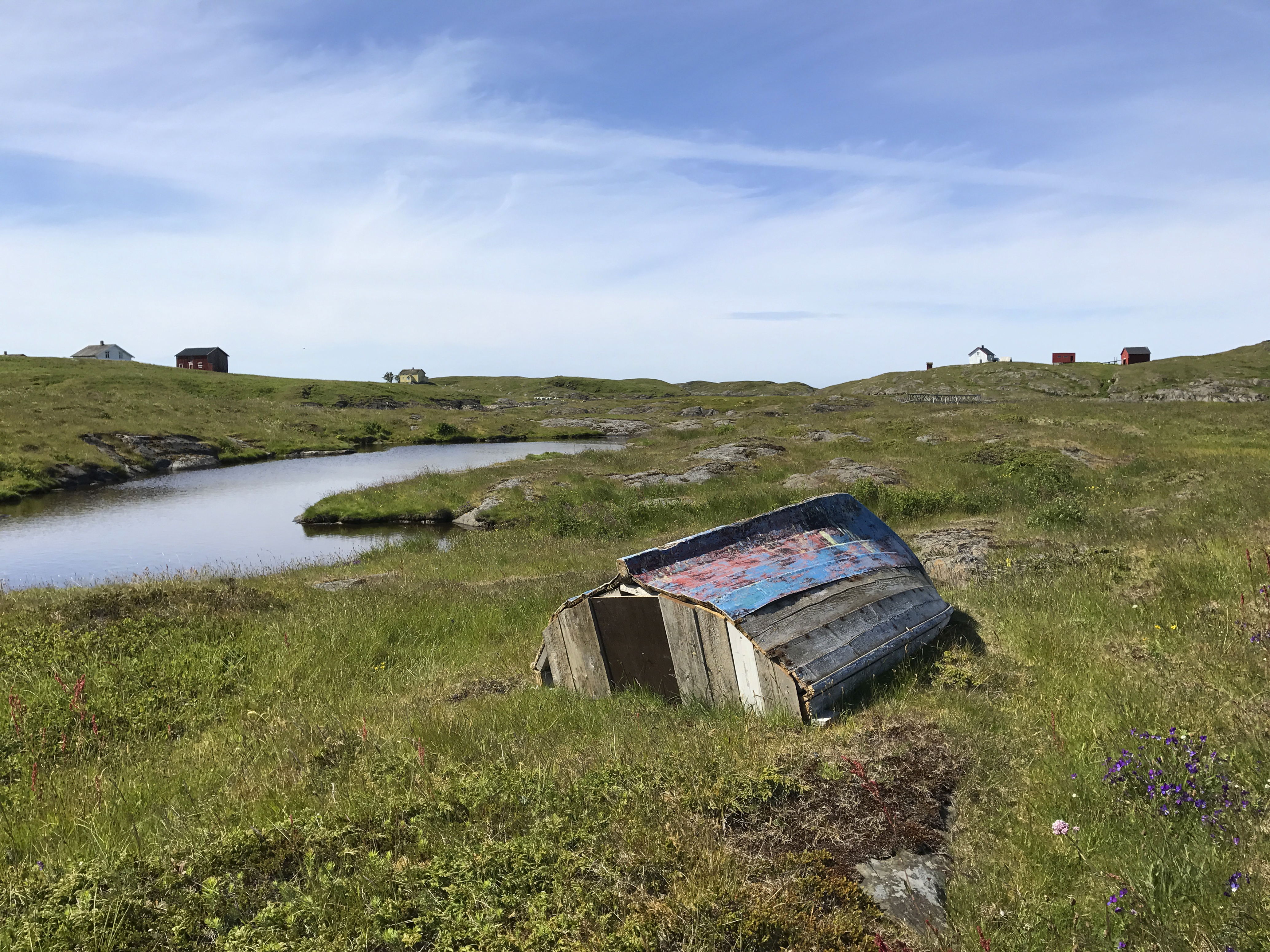 En gammel rob&aring;t saget i to kan ogs&aring; gj&oslash;re nytten som husv&aelig;re.