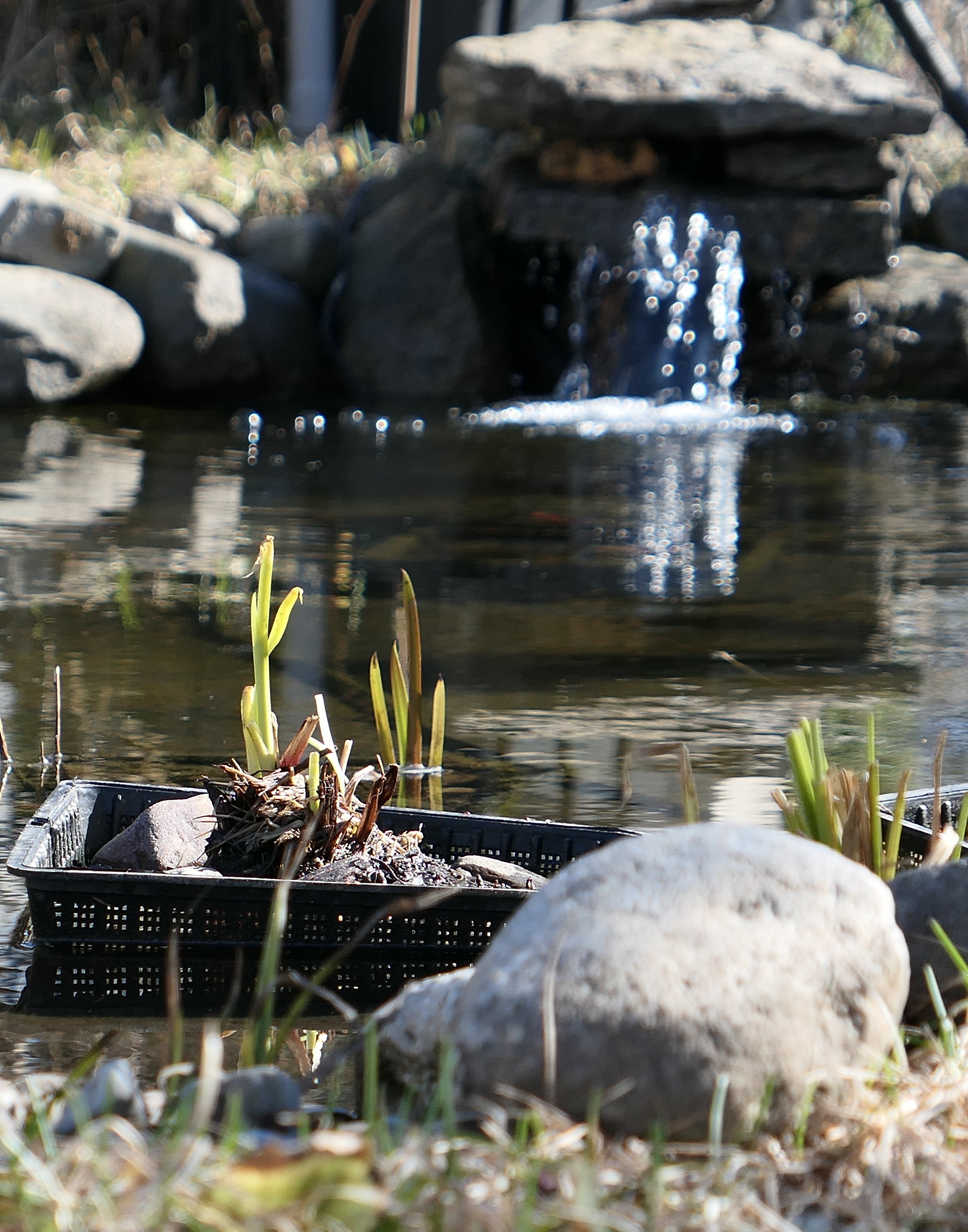 Den lille fossen skaper en avslappende atmosfære.