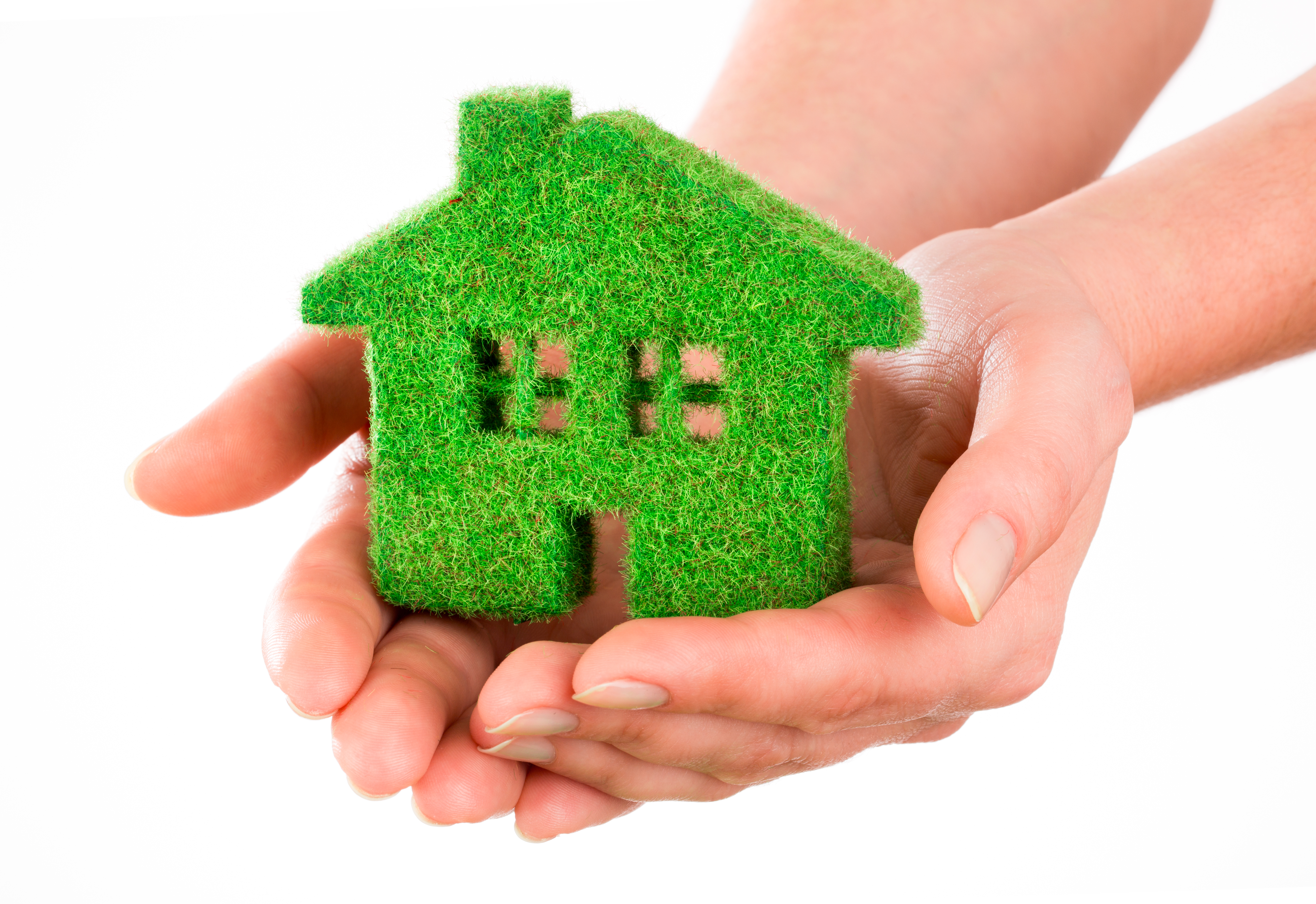 Vi forklarer hva de forskjellige miljømerkene står for 