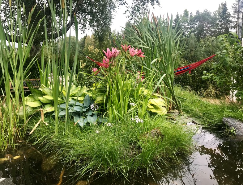 Hage: En frodig hage krever tid og tålmodighet