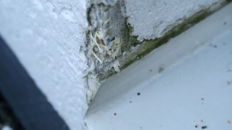 TREKKER VANN: Etter ett år viser det dårlige utførte arbeidet med tynnpuss seg: Detaljløsningene har ført til fuktproblemer.