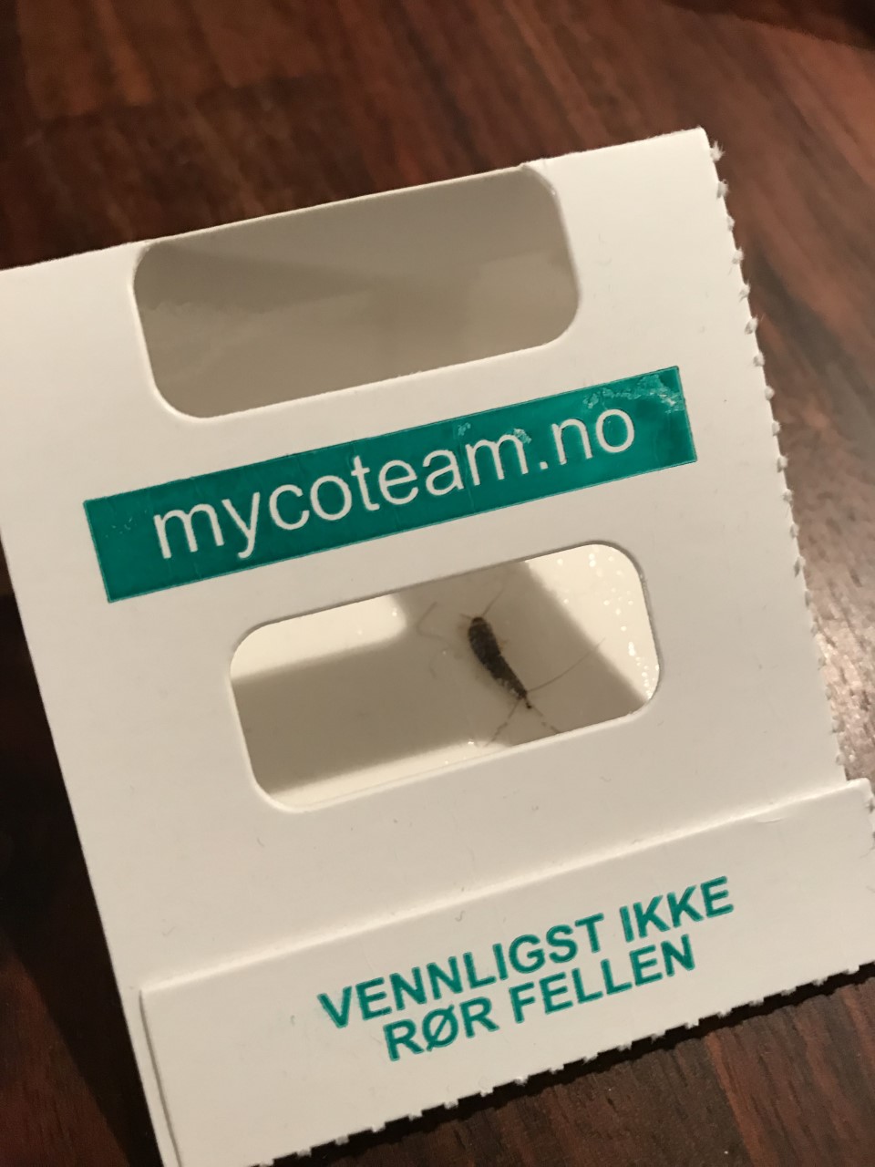 Skjeggkre i limfelle. 