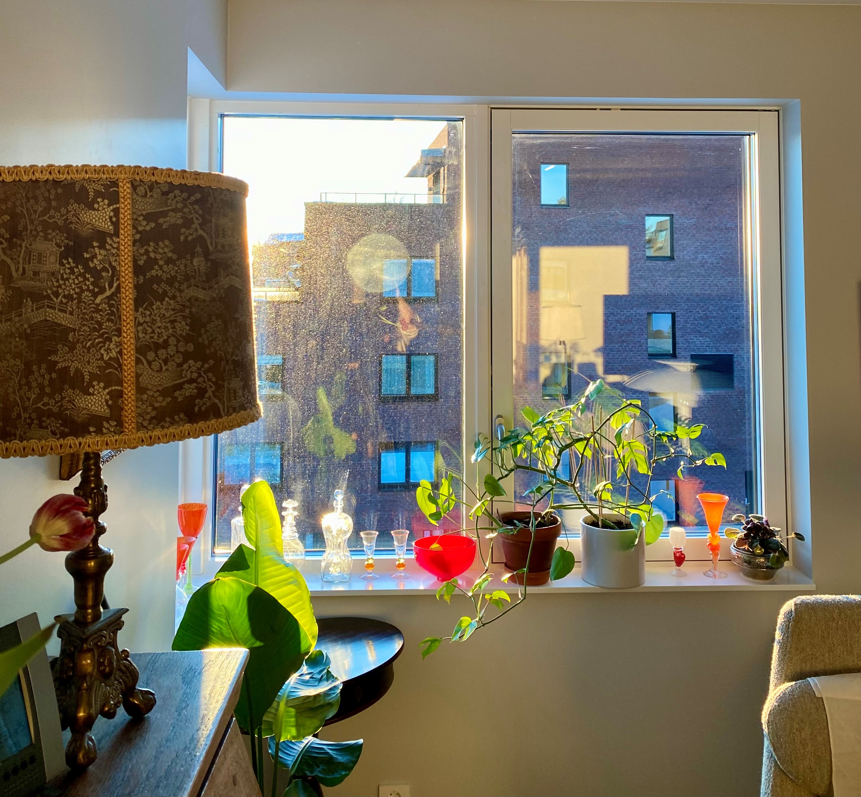 Vindusglass med ringer