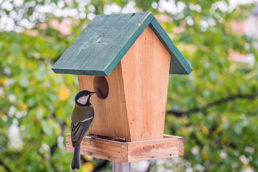 Snart vår: Det haster å bygge fuglekasse før leieboerne kommer