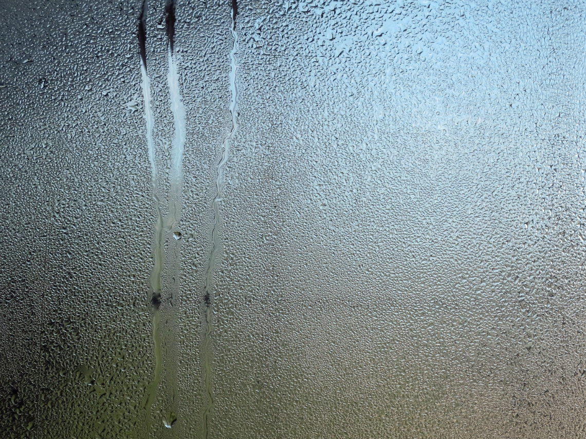 Dugg på vindu