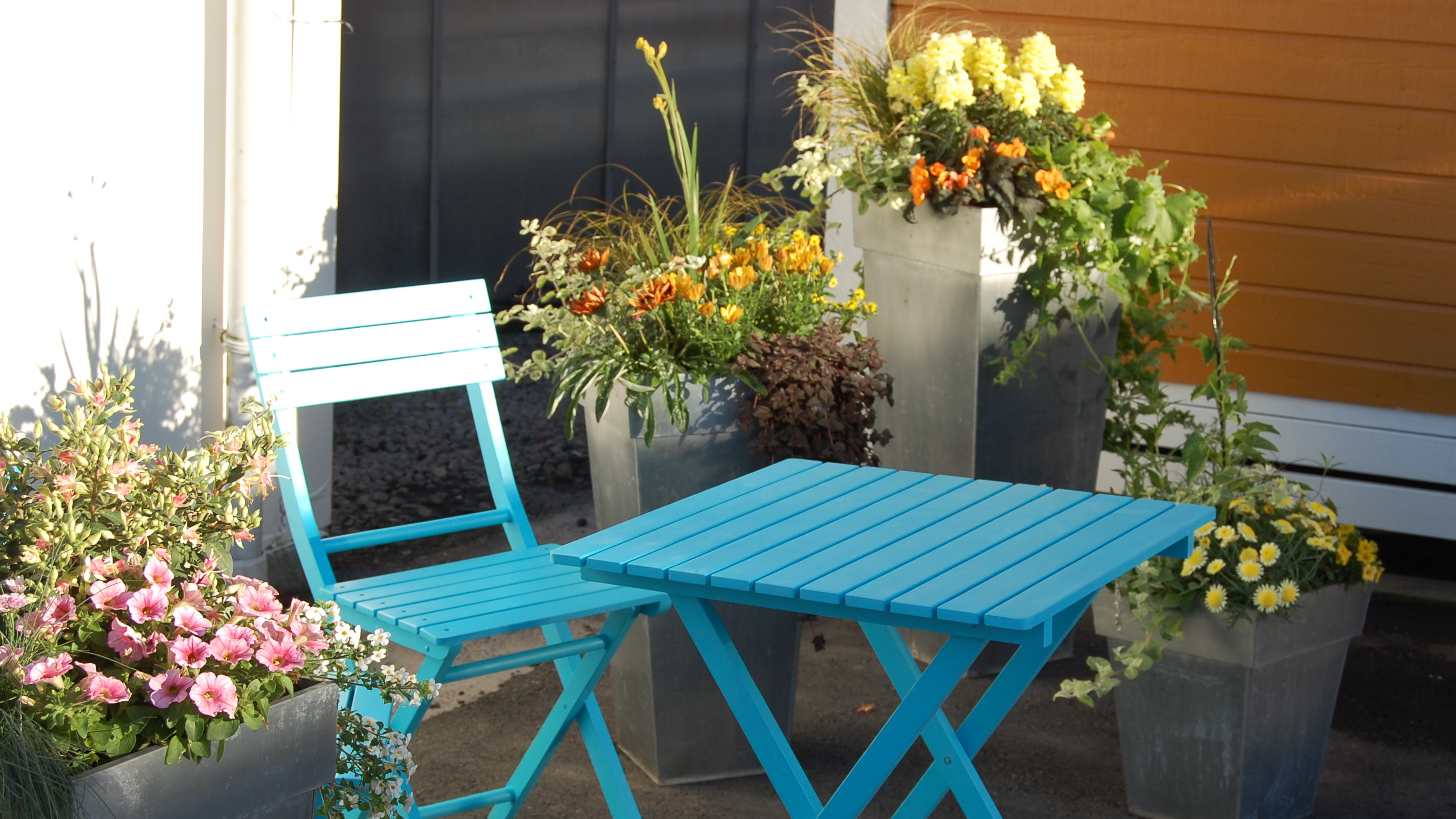 Det kan være enklere å holde styr på blomstene i krukker enn i bed.