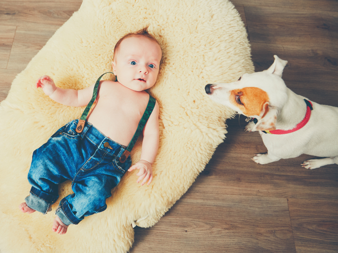 Gulvvarme illustrasjon av baby på teppe og hund