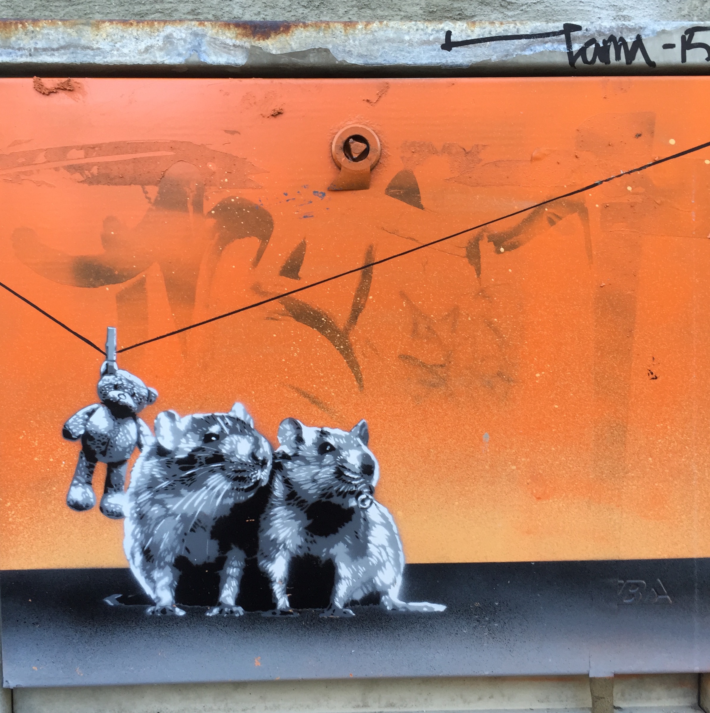 Til glede eller irritasjon? Foto: Nina Granlund Sæther