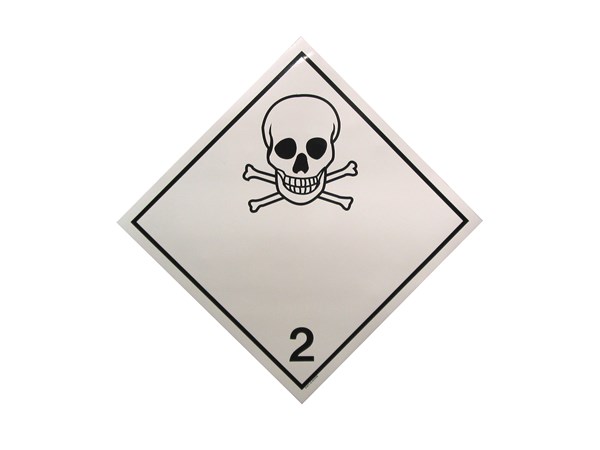 Hva gjør du når blomsten i vinduskarmen er borte og du innser at poden har spist den? 