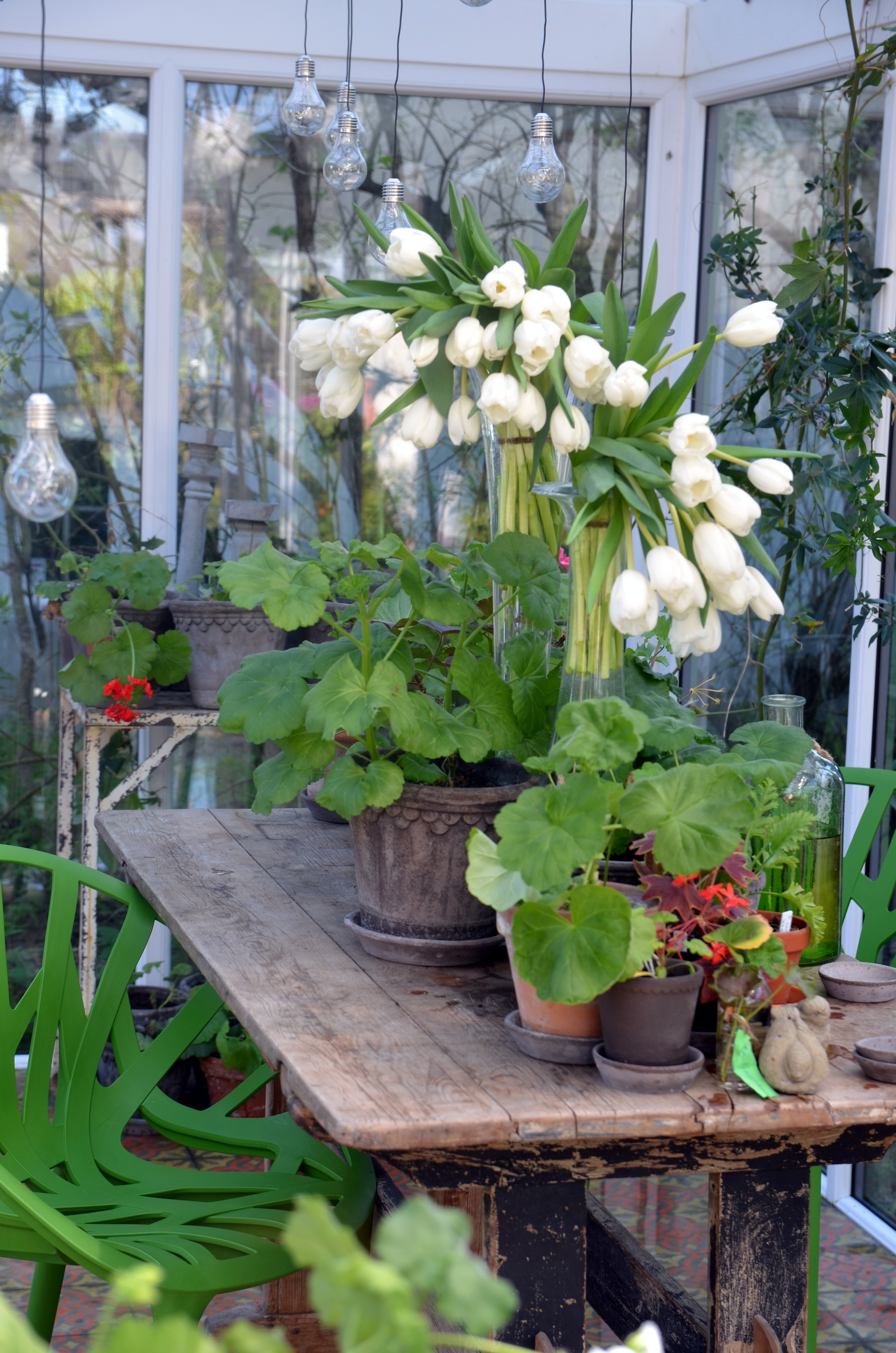 Grønt og flott i Finn Schjølls hage. Foto: Tonje Bergh / Plantmania