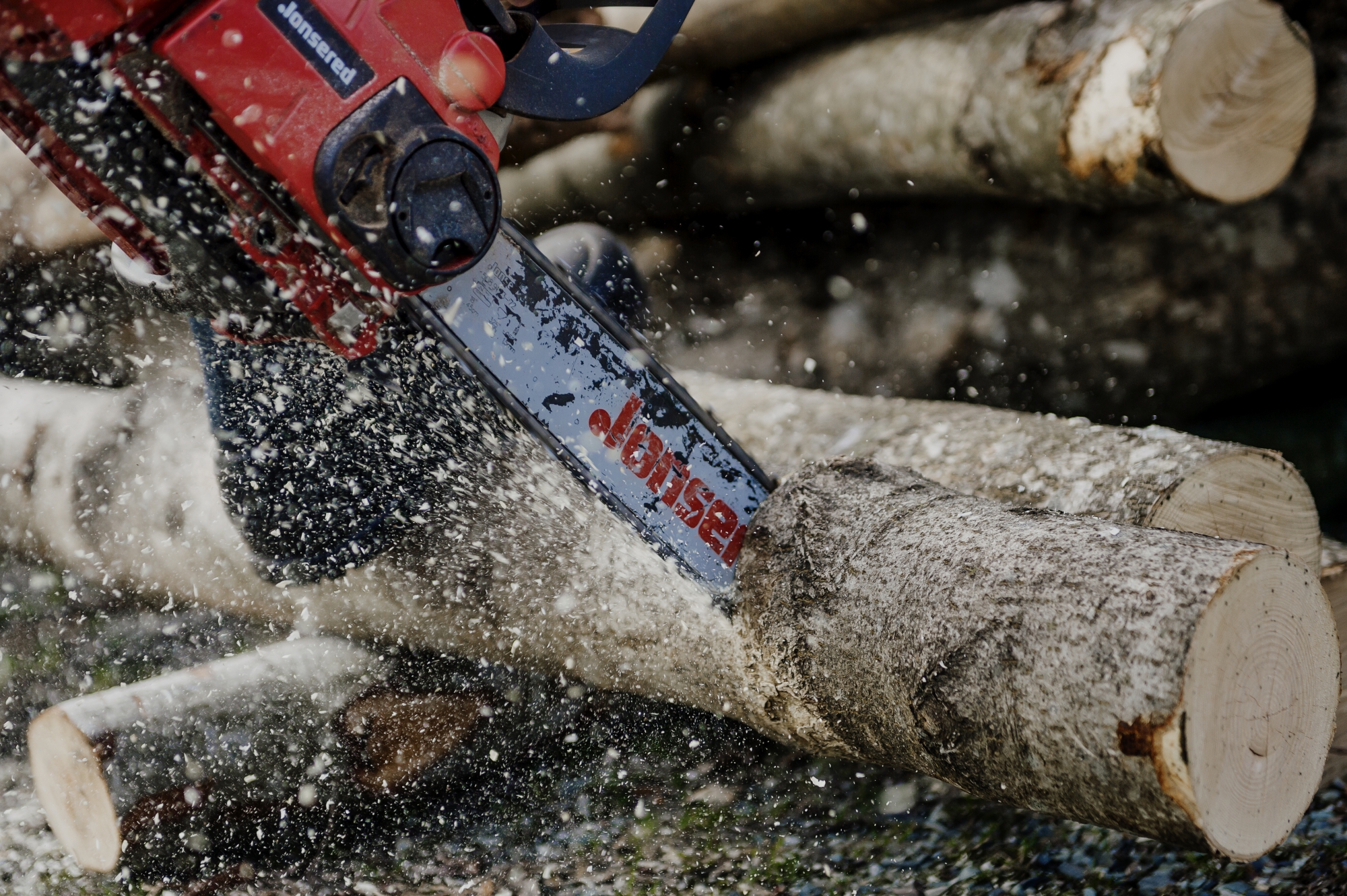 FAVORITT: Vi nordmenn elsker våre motorsager. Hva er viktig når du skal kjøpe ny? Vi gir deg en oversikt. Foto: Hampus Lundgren. 