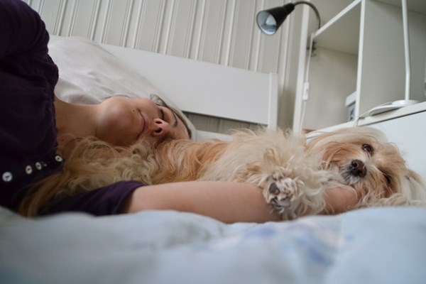 VARMT OG GODT: Lisa Lang trives godt med å ha begge hundene sine i senga. Foto: Privat