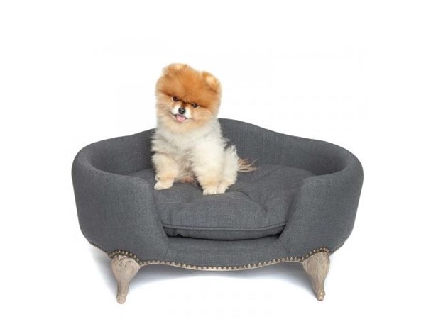 SOFA: En sofa til familiens lille firbente kan kanskje hindre den i å okkupere godstolen din?