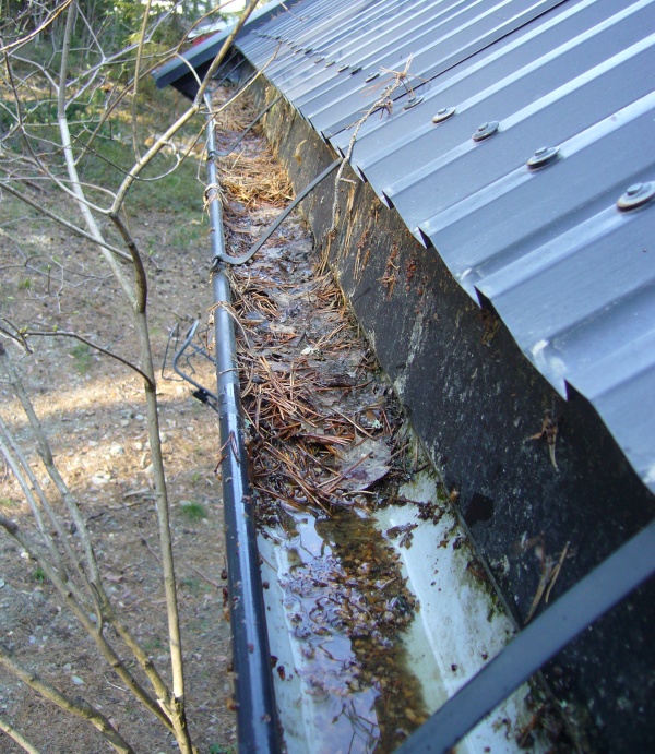 Blad og mose tetter takrennene